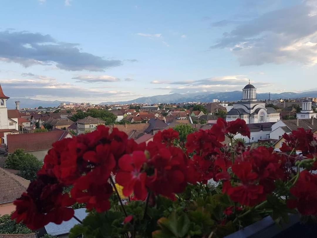 Sibiu Bach Penthouse Apartamento Exterior foto